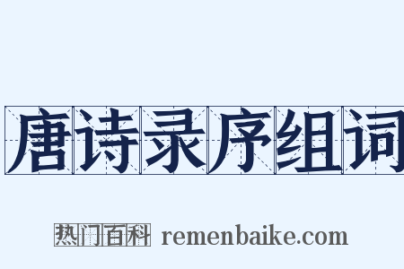 唐诗录序组词是什么意思的图片